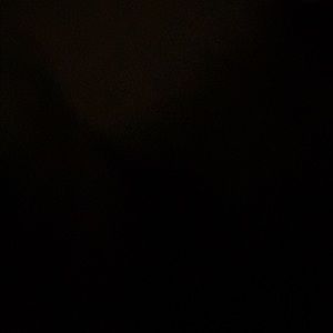 Meet your Posher, Mackenzie